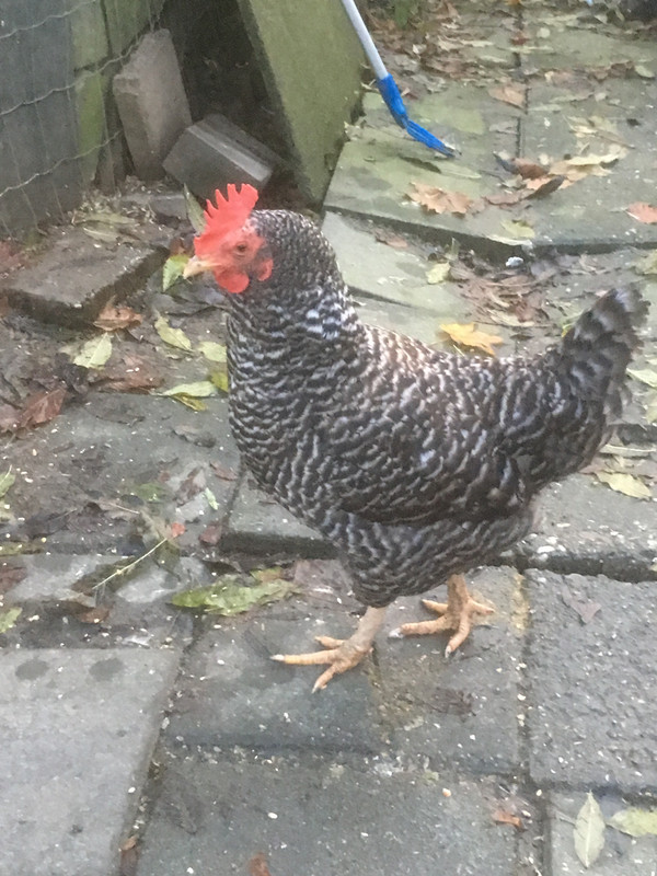 60A7D3BD-EB03-4DA7-8920-74C498397CA4