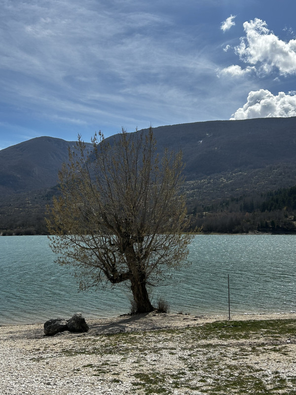 7FB021BE-0EEB-44EC-86D1-1D931C45E0E7