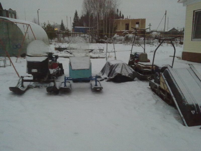 мотособаки