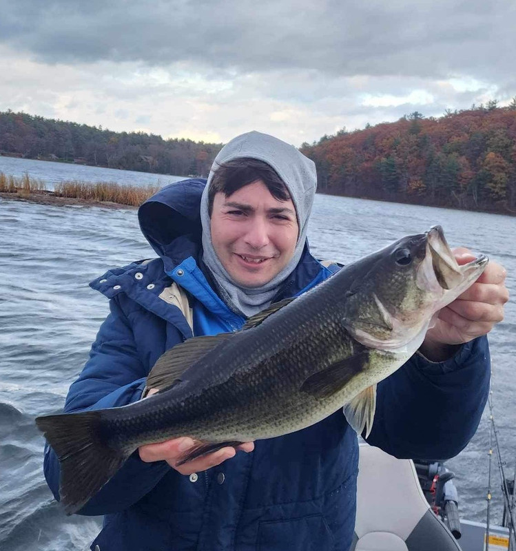 Facebook_creation_157208155~2