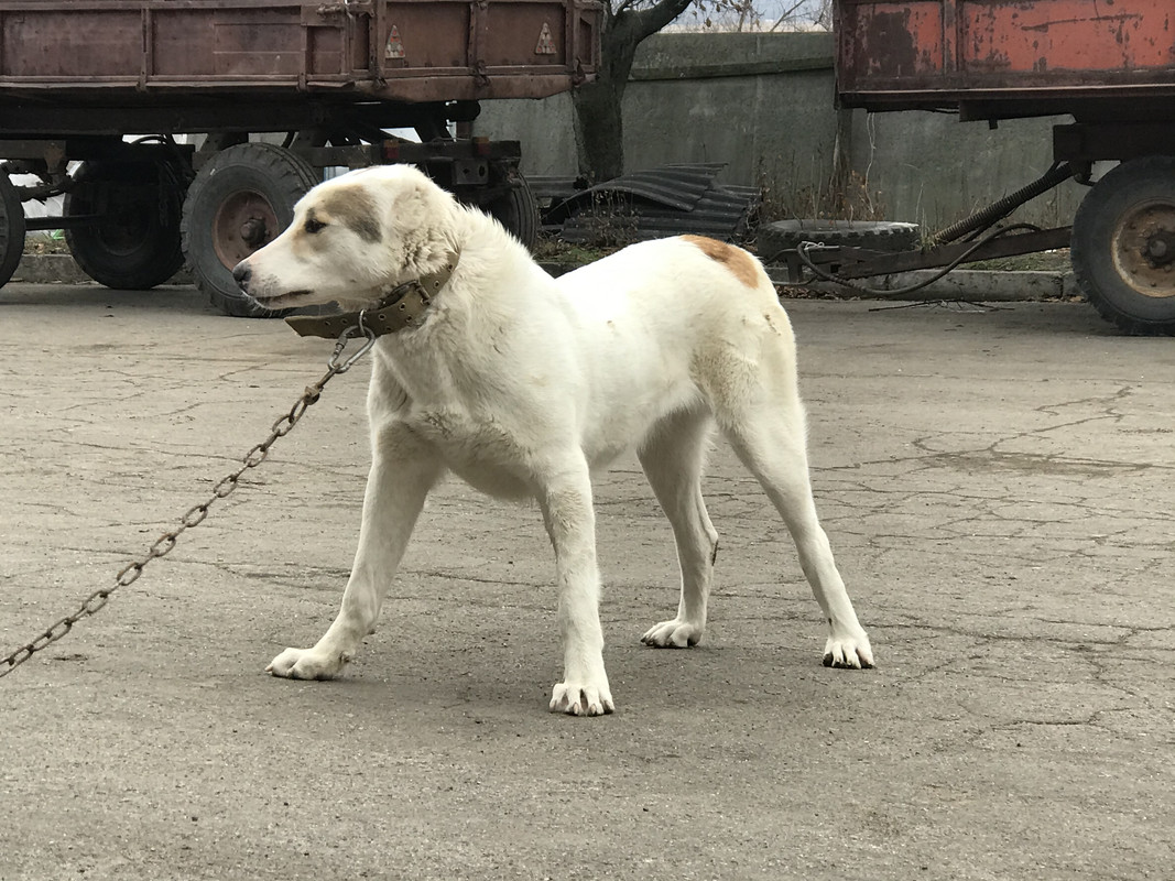 350DE6D6-A530-4675-A628-01AAEF7DEE6A