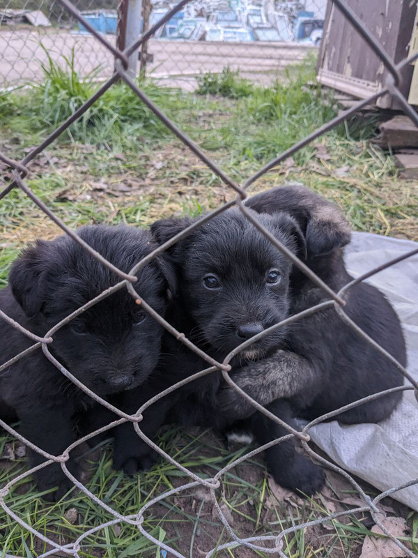 photo_2024-04-23_20-42-12 (2)