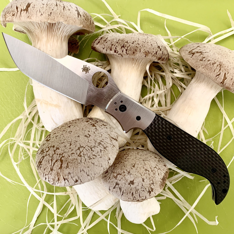 BC545D7D-C0A7-4EA6-B040-04473DC5C9AB