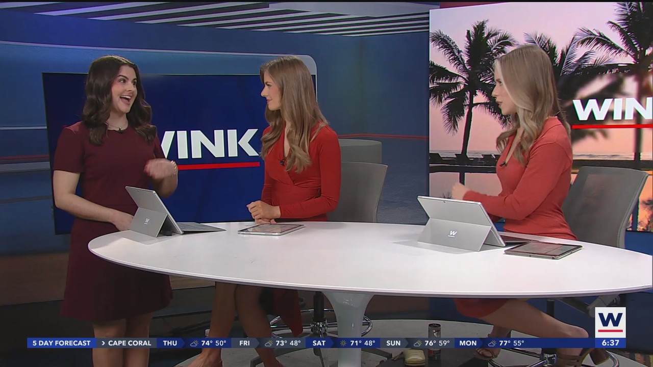 WINK News at 630am_20250102_11301200.ts_snapshot_08.03.324