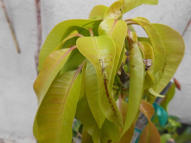 DSCN0514