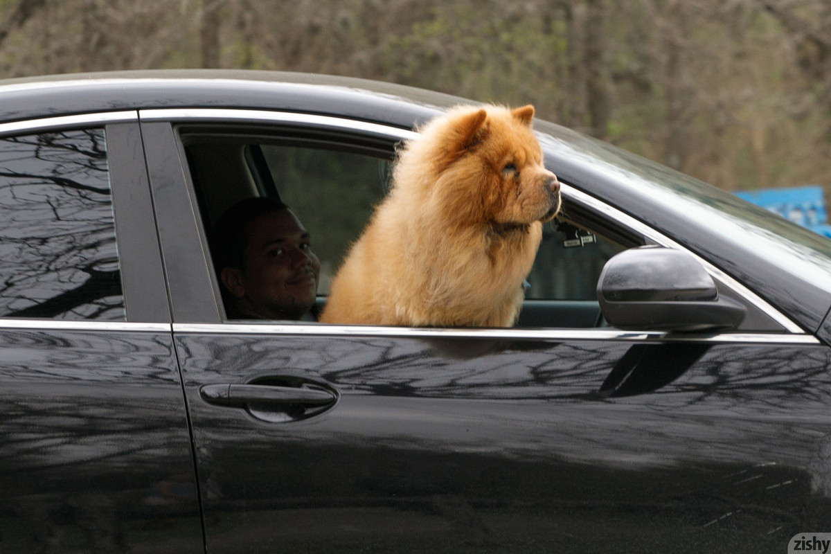 full_035_1432081431312258