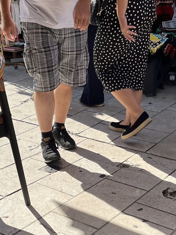 IMG 7497