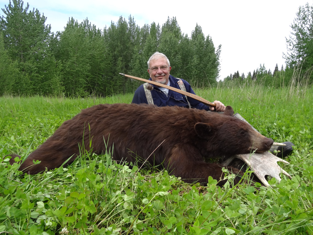 BEARS 036