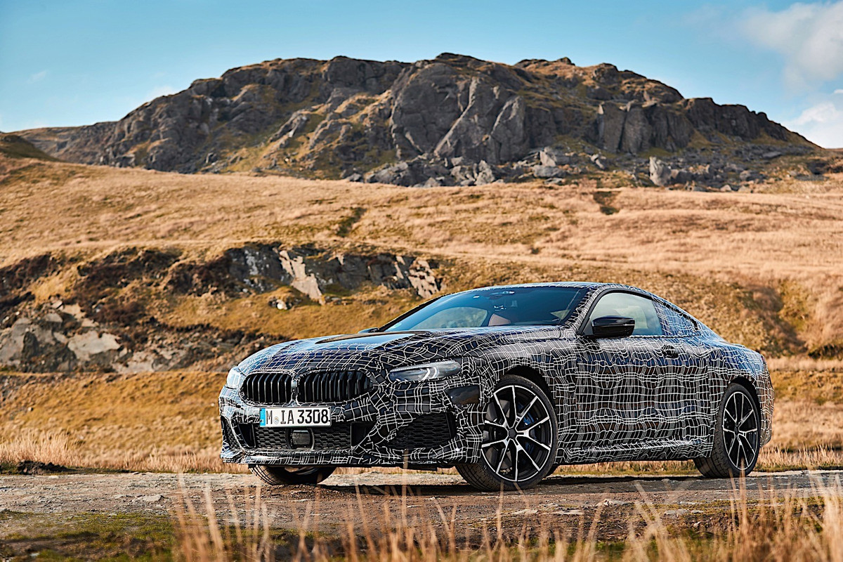 BMW 8 Series Coupe (11)