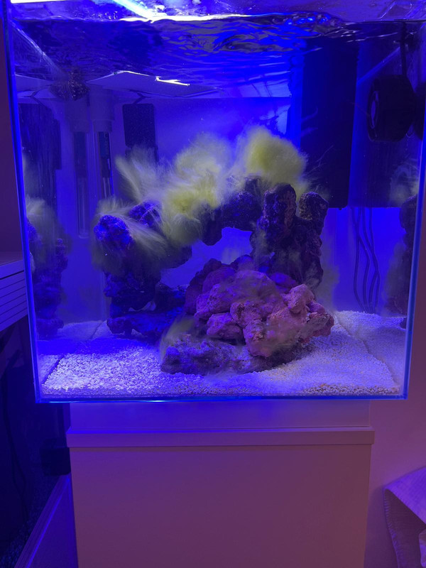 WhatsApp Image 2024-10-21 at 22.51.33 (1)