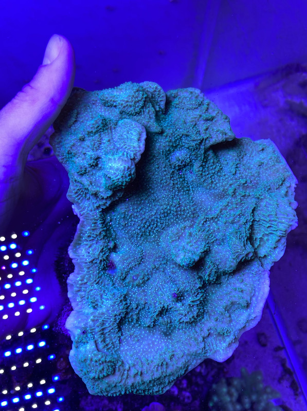 DF5A7782-69A4-404A-B2F6-0040A98C3575