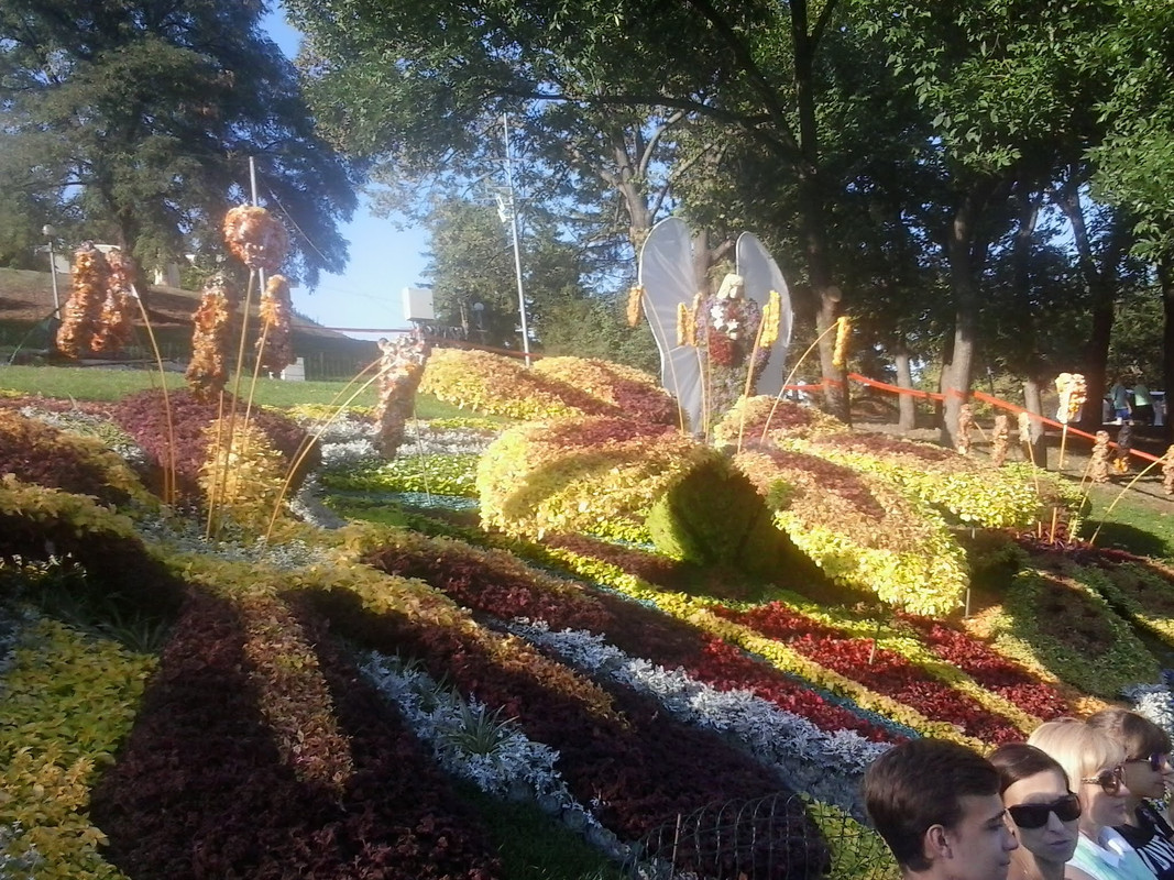 2015-08-25-17-25-54.jpg