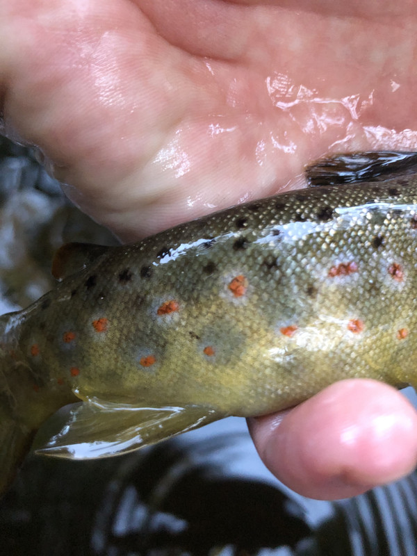 393E9897-DD02-4407-B653-F51E8E7BCE83