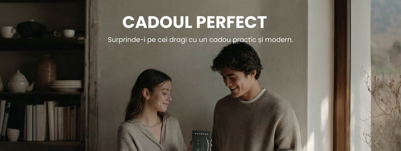 Mouse Wireless NETSTAT - compatibilitate