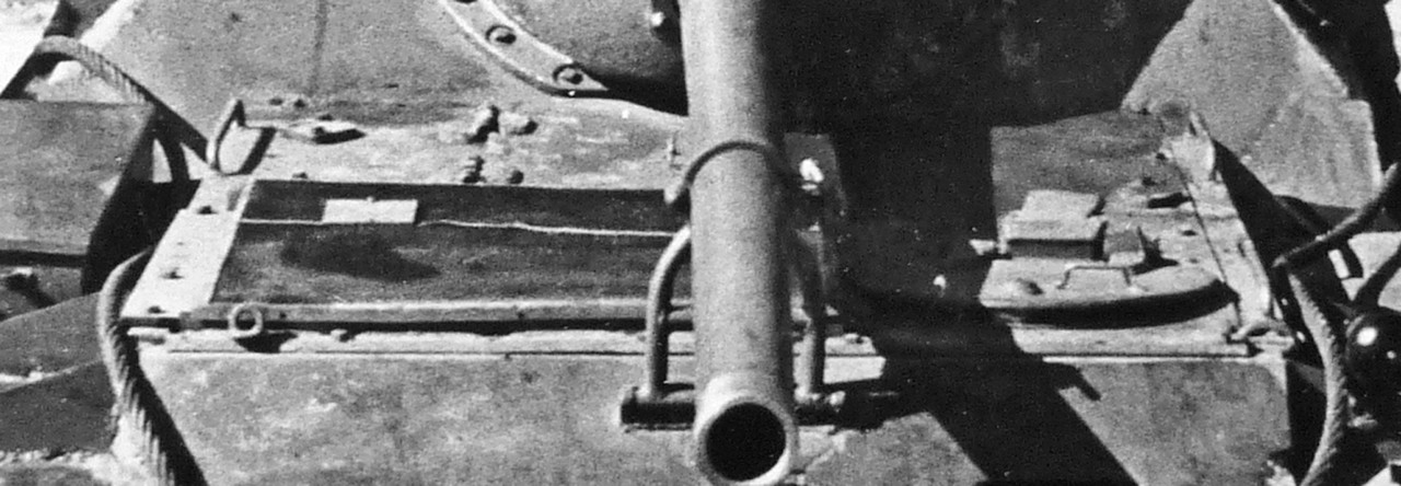 000 Ранная крыша