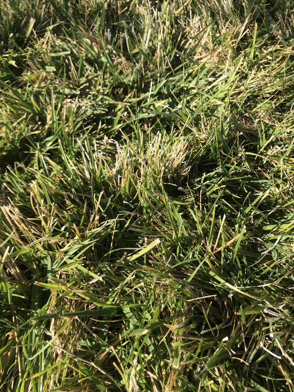 13372E67-B78A-4ED1-88BE-8CE32BFC141A