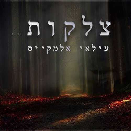 תמונה
