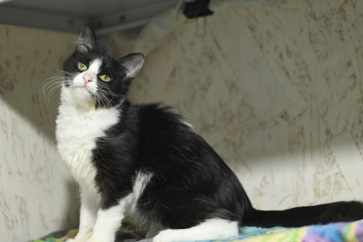 IMG_7324 — копия