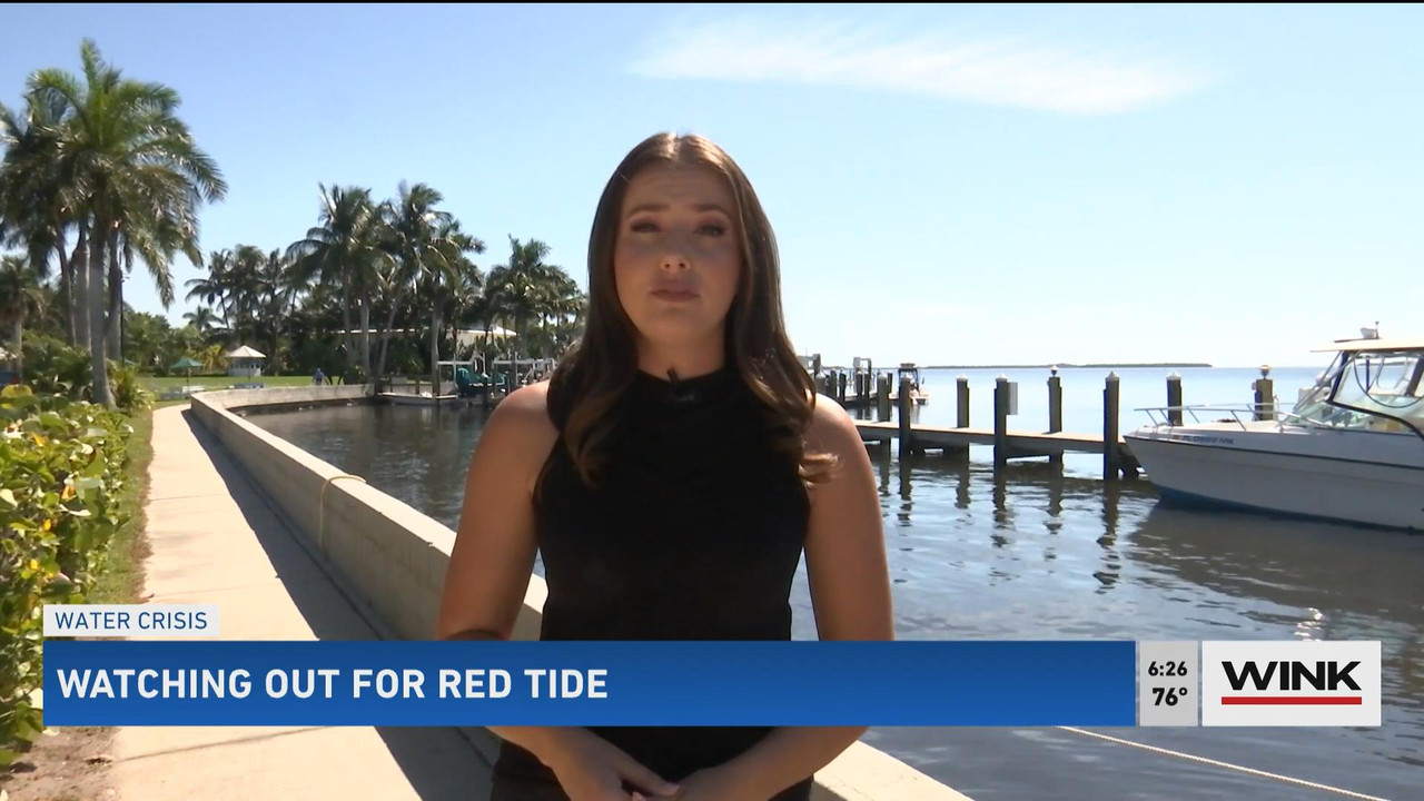 10.24 - 11.00.00 - WINK News @ 6 00AM Sunday. Local news, sports and ....ts_snapshot_00.29.11_[2021.