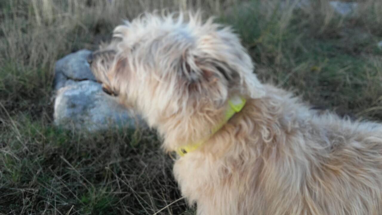 3588D0CD-8589-4078-B275-EBB131A82849