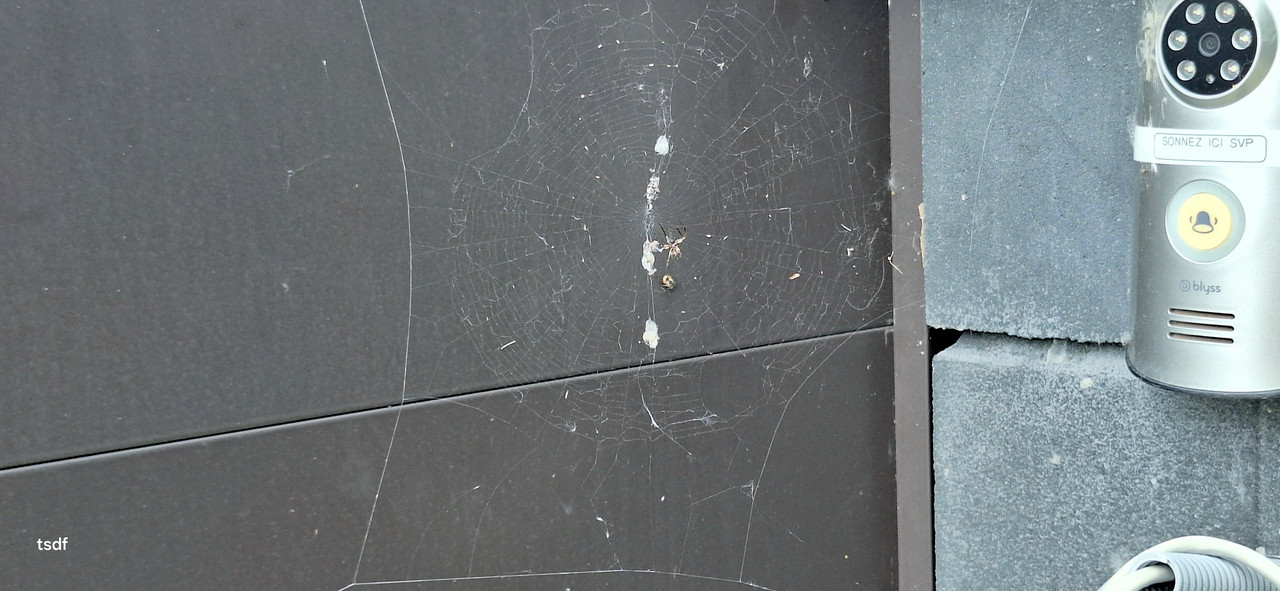 [Image: 20250520-160129.jpg]