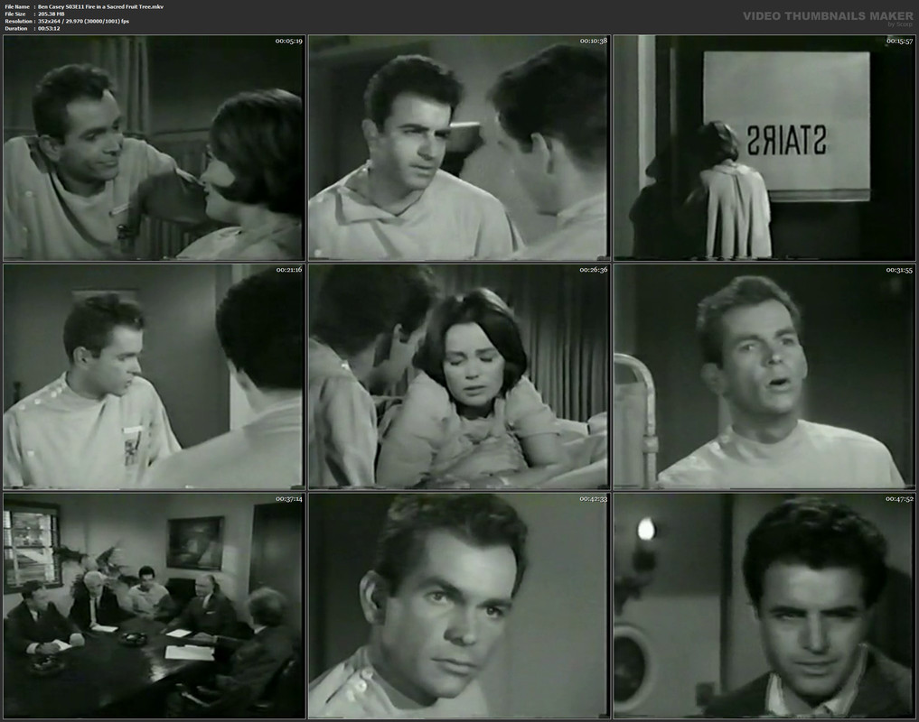 Ben Casey S03E11 Fire in a Sacred Fruit Tree.mkv