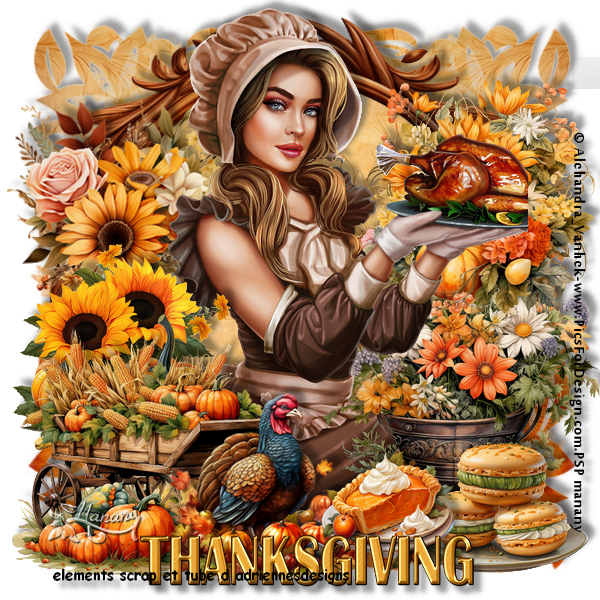 Reproduction Thanksgiving Scrap-N-1565