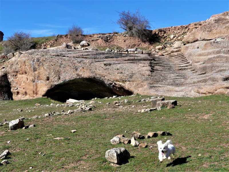 YACIMIENTO ARQUEOLOGICO DE TIERMES-16-2-2020 - Soria y sus pueblos-2010/2013/2020 (108)