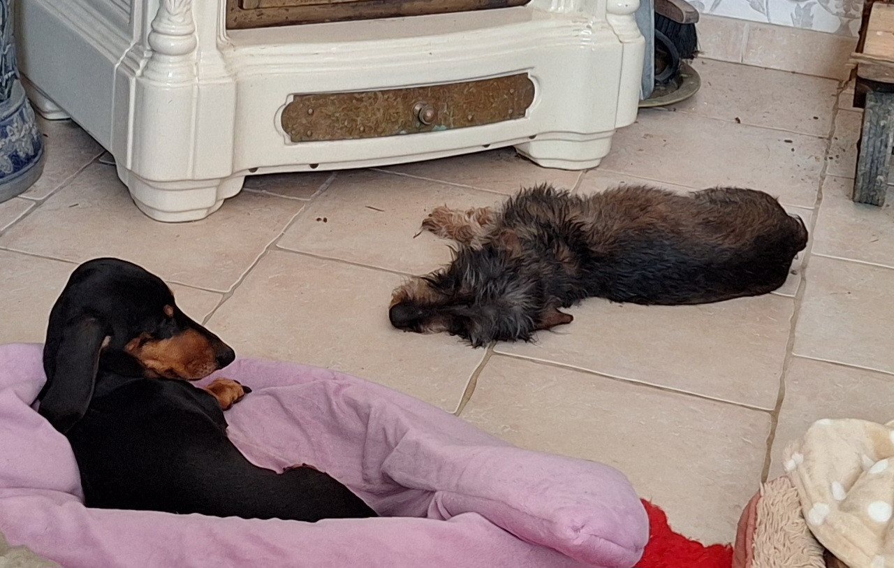 [Image: 20251230-135237.jpg]