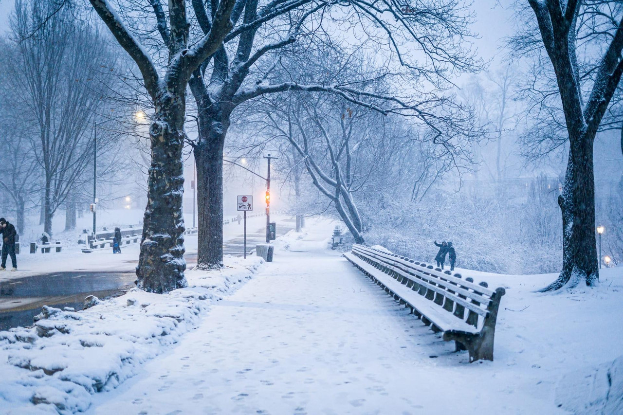 central park snow (13)