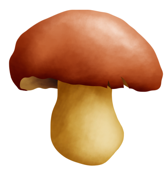 143790098_LMB_Fall_Bounty_Element_81