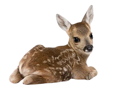 Tumblr l 501333037000891