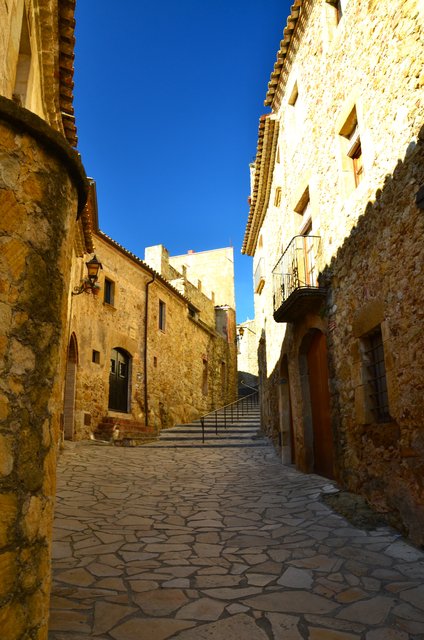 PALS-21-11-2017 - Gerona y sus pueblos-2016/2017 (56)