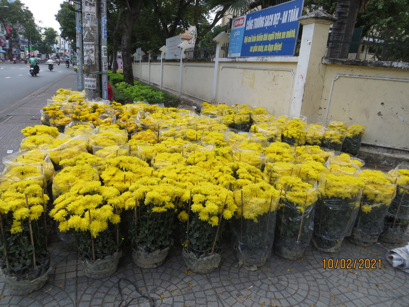 [Image: IMG-7783.jpg]