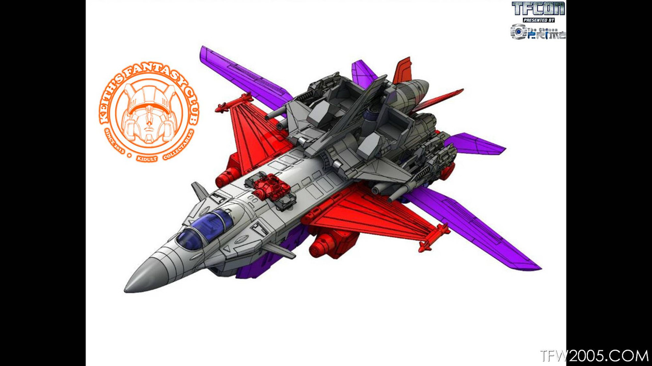 TFcon-2017-3rd-Party-299