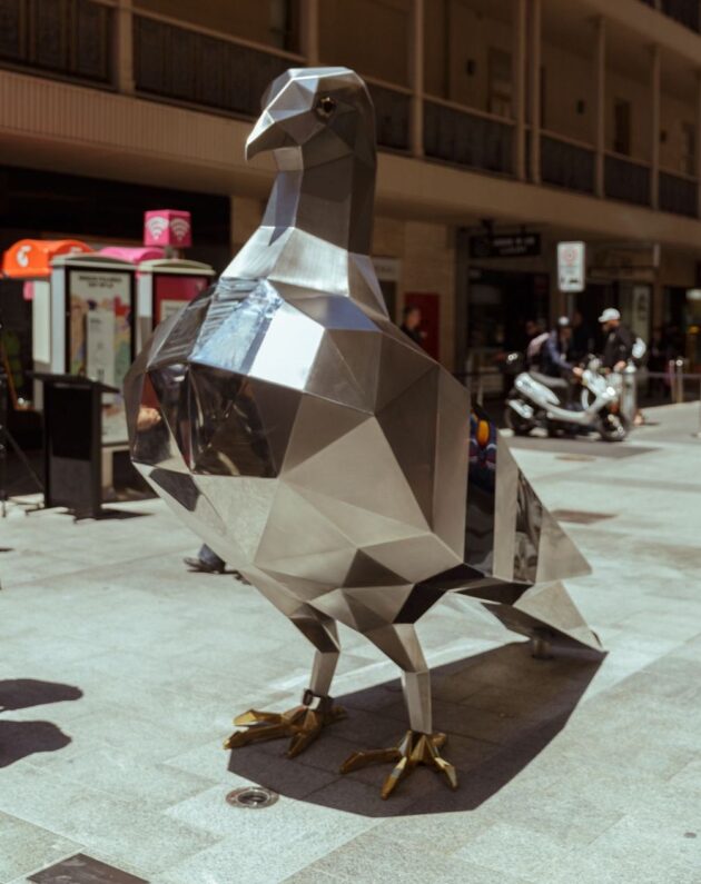 pigeon-rundle-mall-pic-630x795