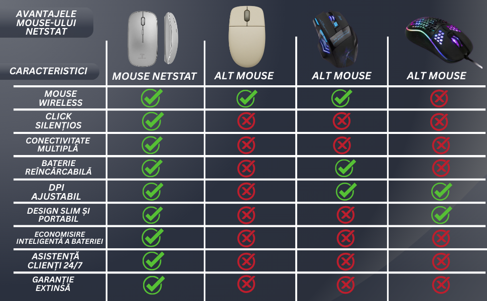 Mouse NETSTAT Prezentare 8