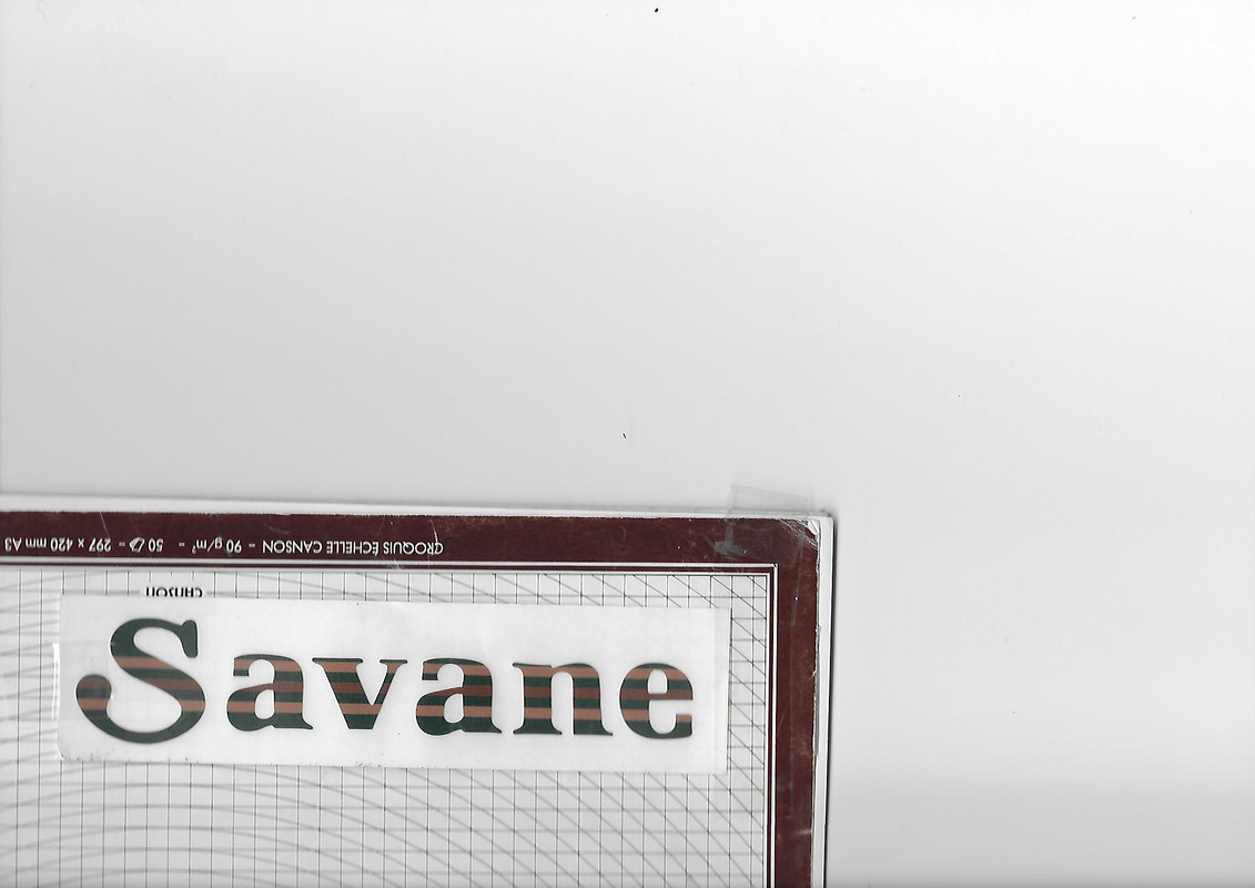 logo savane