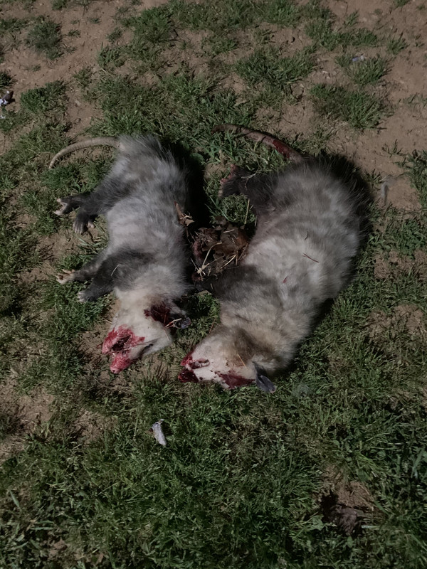 833075A6-0007-44C8-B0F7-10478AE6F834