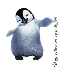 Gif Animate Animali Su GIF MANIA Gif Animate Animali Su GIF MANIA