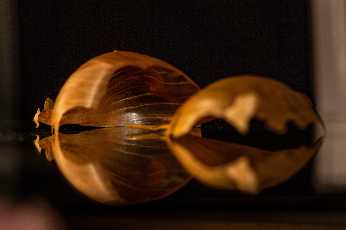 E3995B60-6D55-4E50-8FFD-4CAF66BABC6F