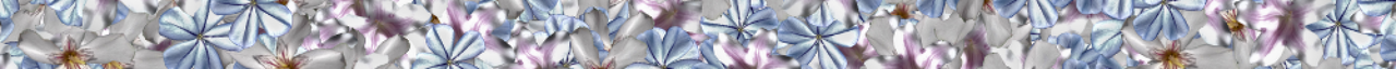 separador.png