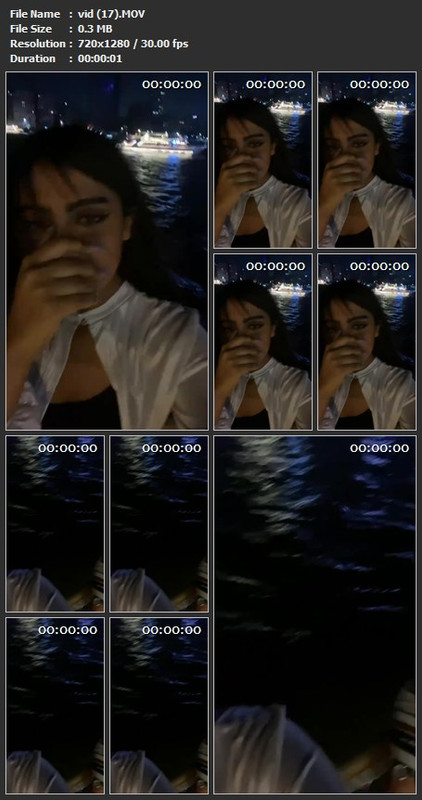 vid (17).MOV
