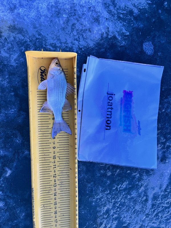 653719C9-AA13-4212-84C7-242DBB2C8841