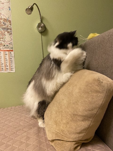 ABCA7-B5-A-BCF0-45-D5-A423-4-B8-FB8-ED8-