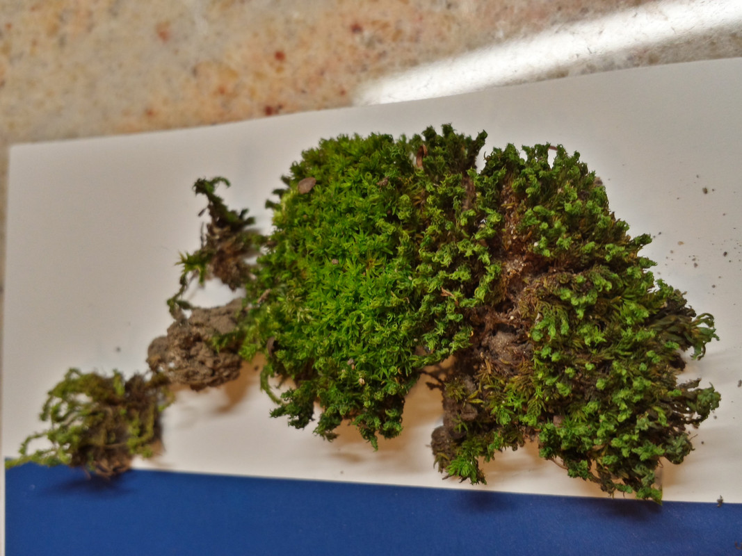 20131228_221320_Richtone(HDR)