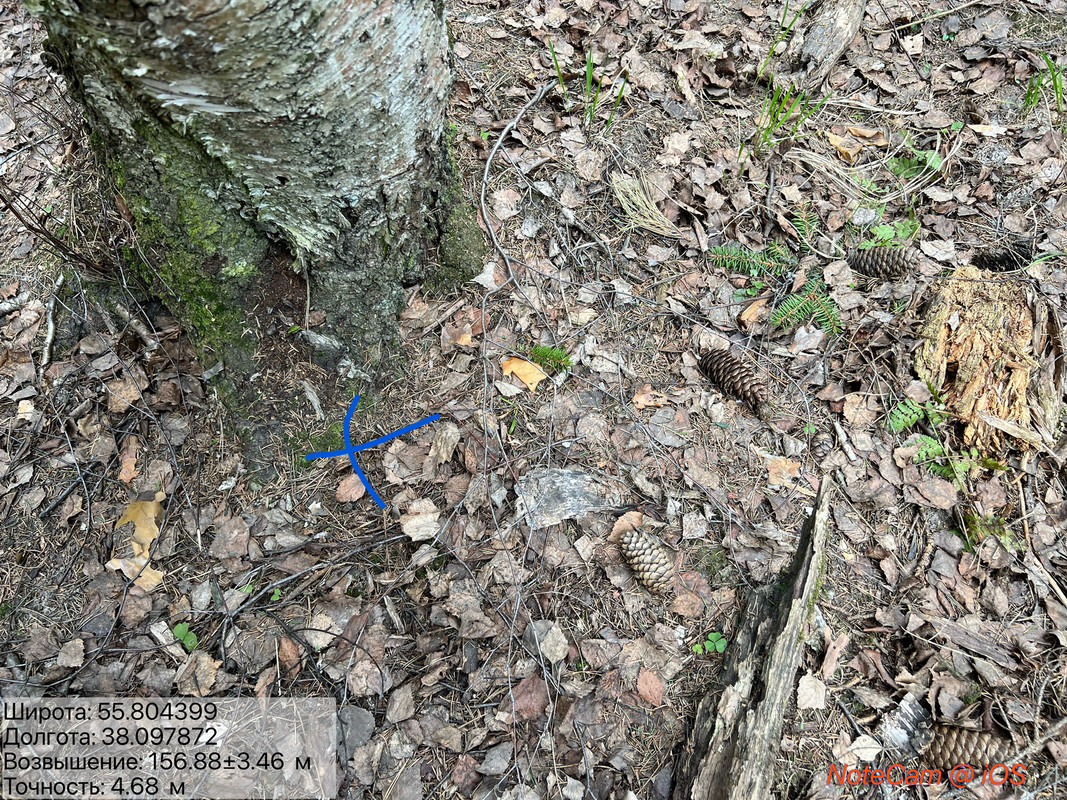 IMG E9528 — Postimages