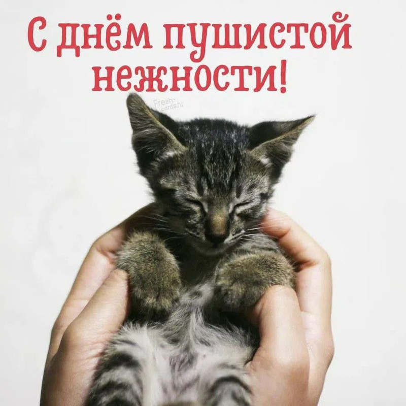 IMG_20231202_114158_955