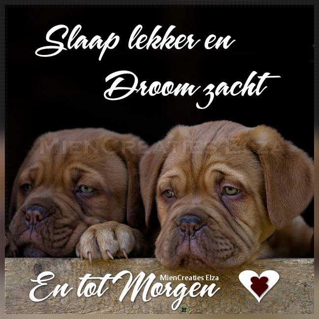 An den Beitrag angehängtes Bild: https://i.postimg.cc/PJMzLfg9/12046705-1721414894737289-6357458178123813699-n.jpg