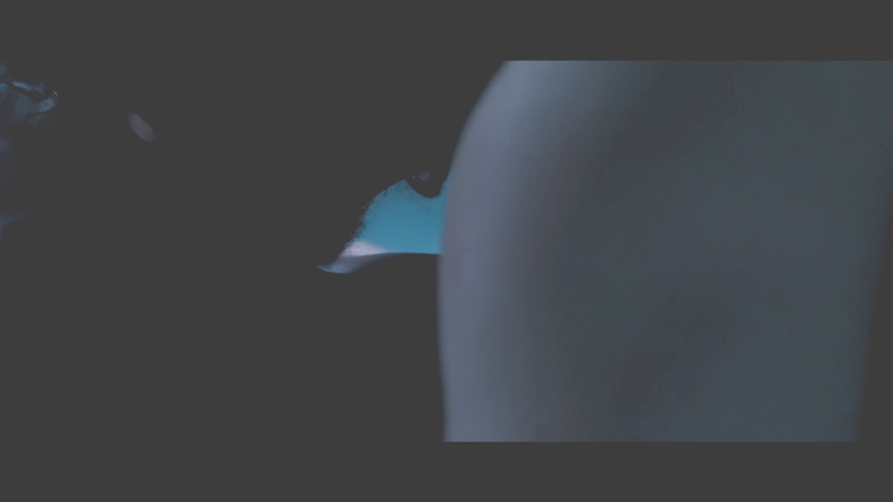 Raima Sen Hot Navel From Mirch 2010 1080p Light Version.mp4_snapshot_00.31_[2020.12.02_20.41.31]